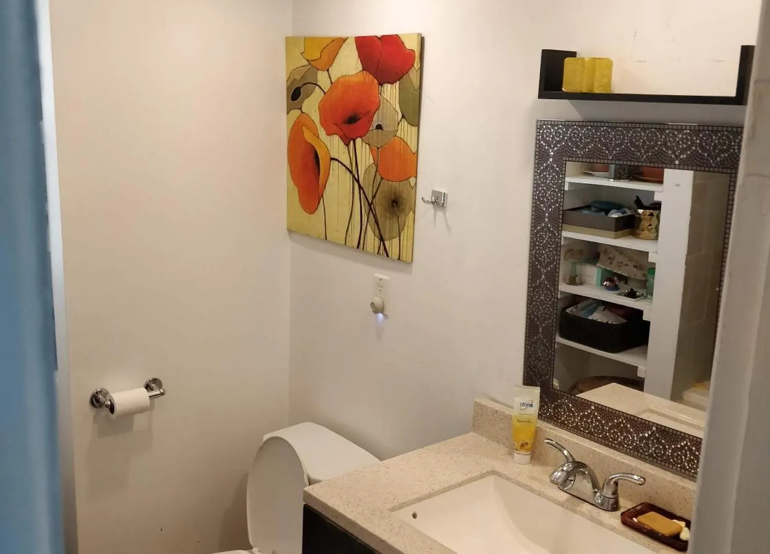 Homestay Quiet Bungalow House Hamilton Canada